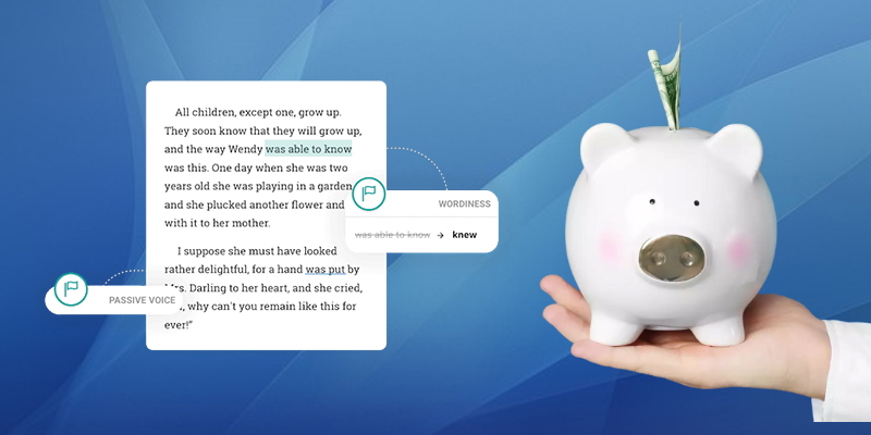How can I Save Money on Grammar Checking Tools?