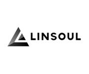 Linsoul