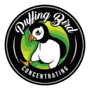 Puffingbird