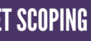 Scoping School