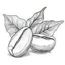 Small Batch Roasting Supplies