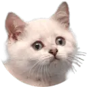 Svmade4angelz