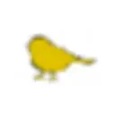 The Yellow Bird